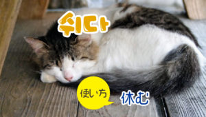 37動詞_쉬다休む