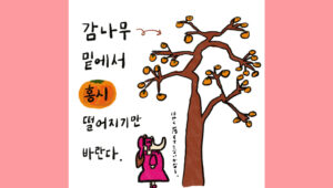 감나무 밑에서 홍시 떨어지기만 바란다