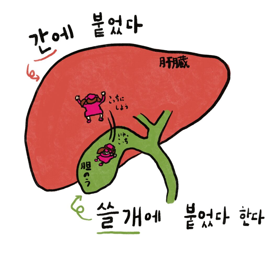 간에 붙었다 쓸개에 붙었다 한다