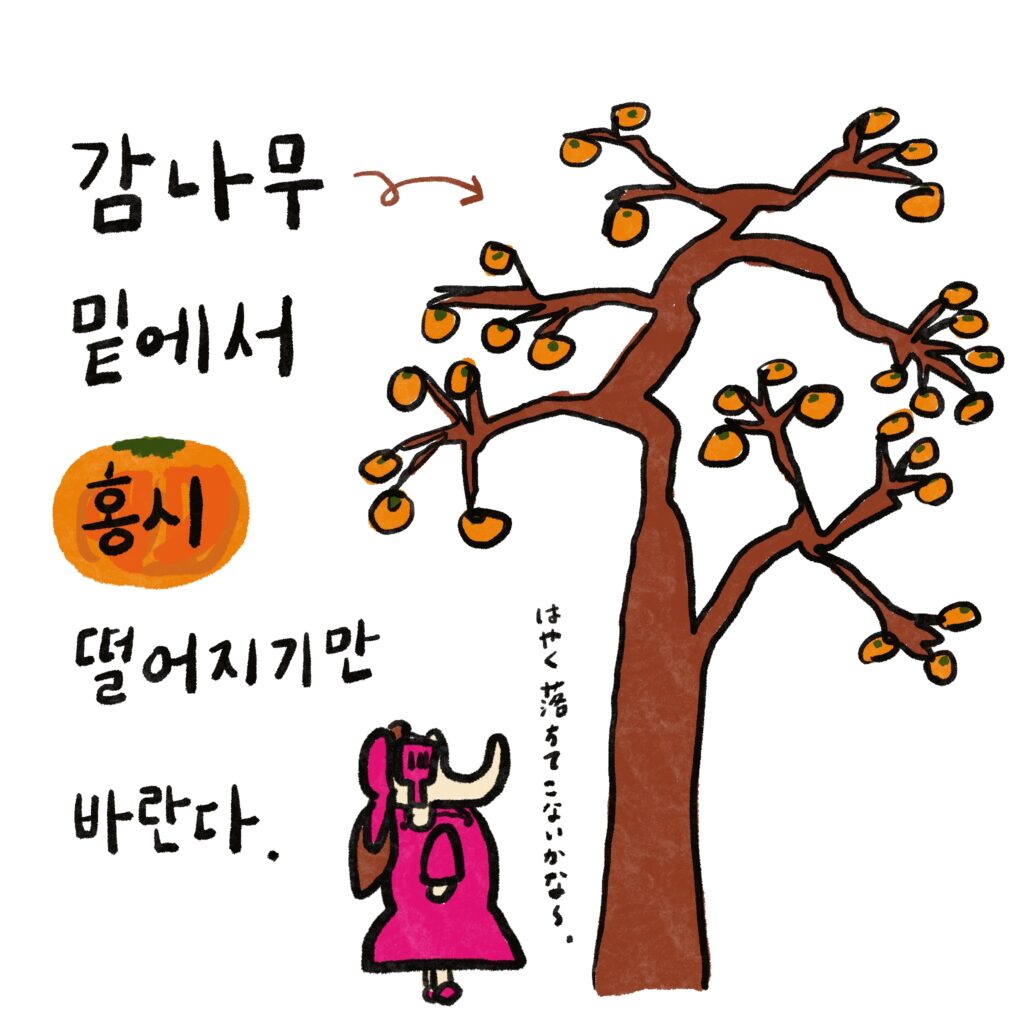 감나무 밑에서 홍시 떨어지기만 바란다