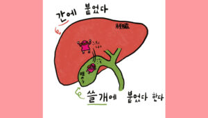 간에 붙었다 쓸개에 붙었다 한다