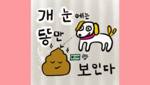 개 눈에는 똥만 보인다