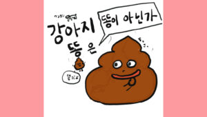 강아지 똥은 똥이 아닌가