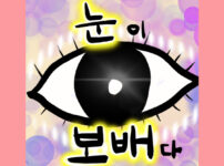 눈이 보배다
