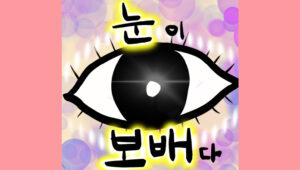 눈이 보배다