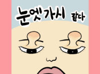 눈엣가시 같다
