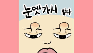눈엣가시 같다