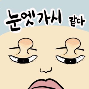 눈엣가시 같다