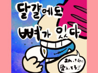 달걀에도 뼈가 있다