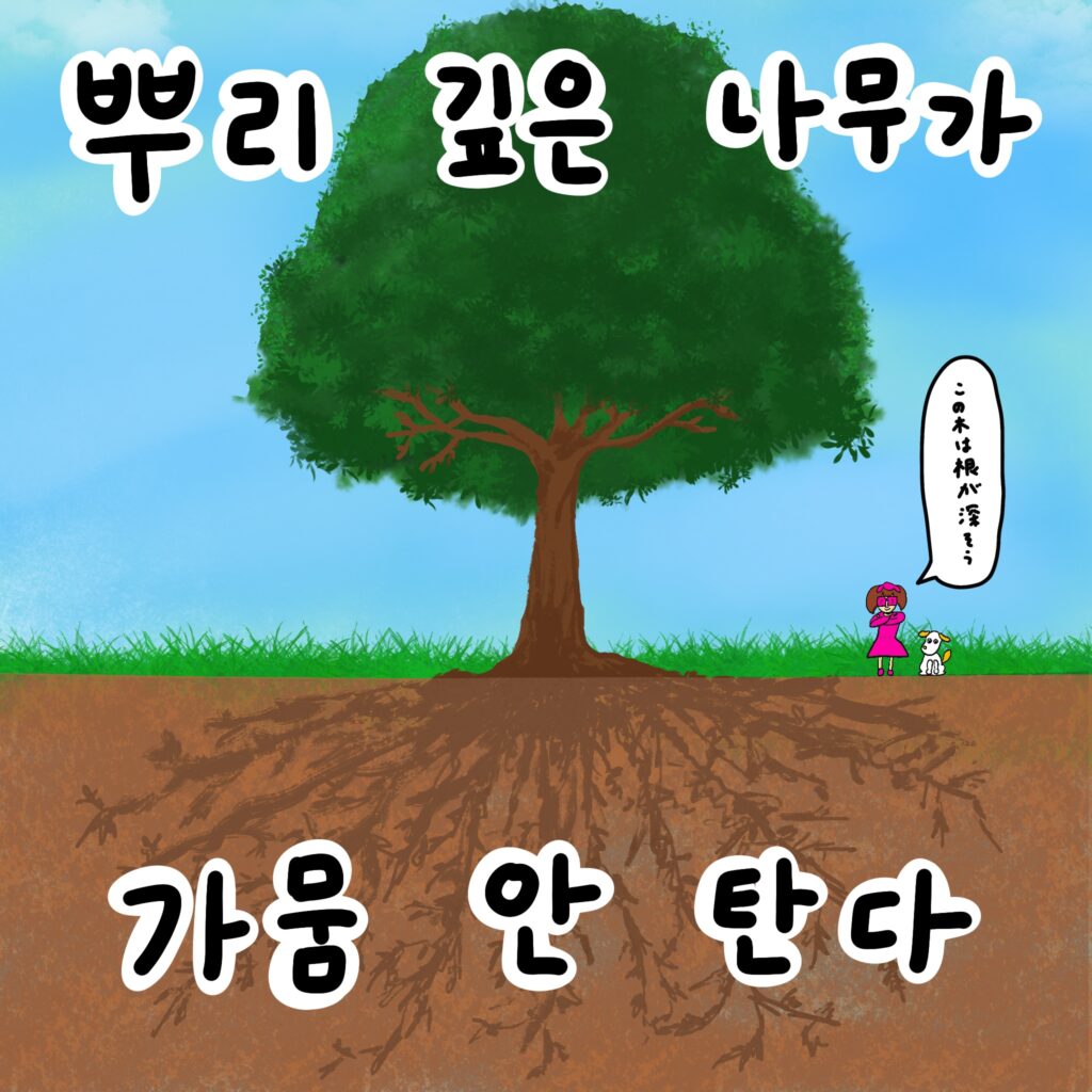 뿌리 깊은 나무가 가뭄 안 탄다